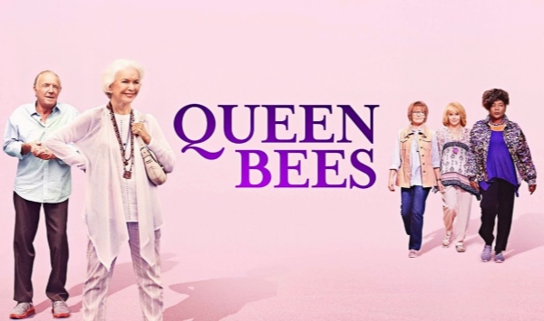 欢迎来到松树林