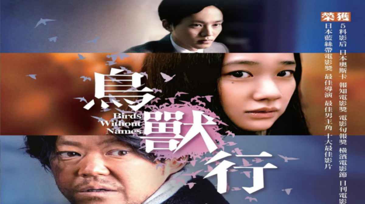 她不知道名字的那些鸟儿