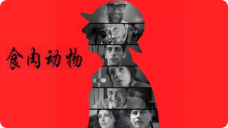 食肉动物