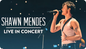 肖恩·门德斯：巡回演唱会纪实