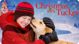 与塔克的圣诞节