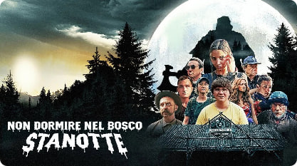 今夜林中无人入睡