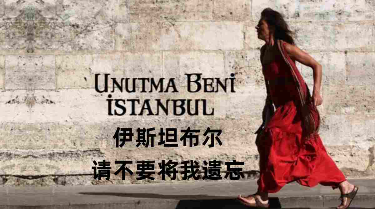 伊斯坦布尔，请不要将我遗忘