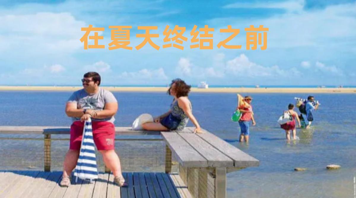 在夏天终结之前