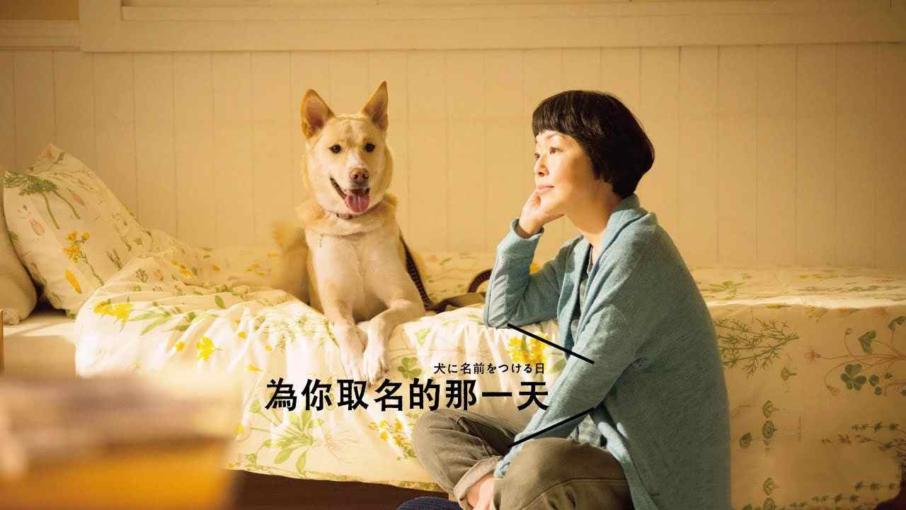 为你取名的那一天