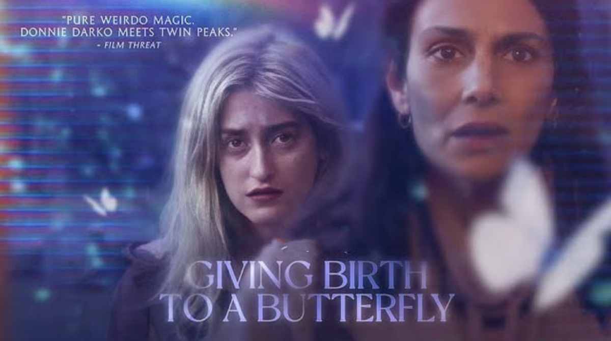 一只蝴蝶的诞生