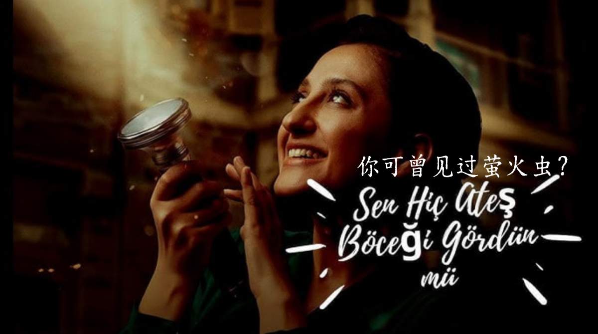 你可曾见过萤火虫？