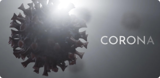 我的 Corona My Corona