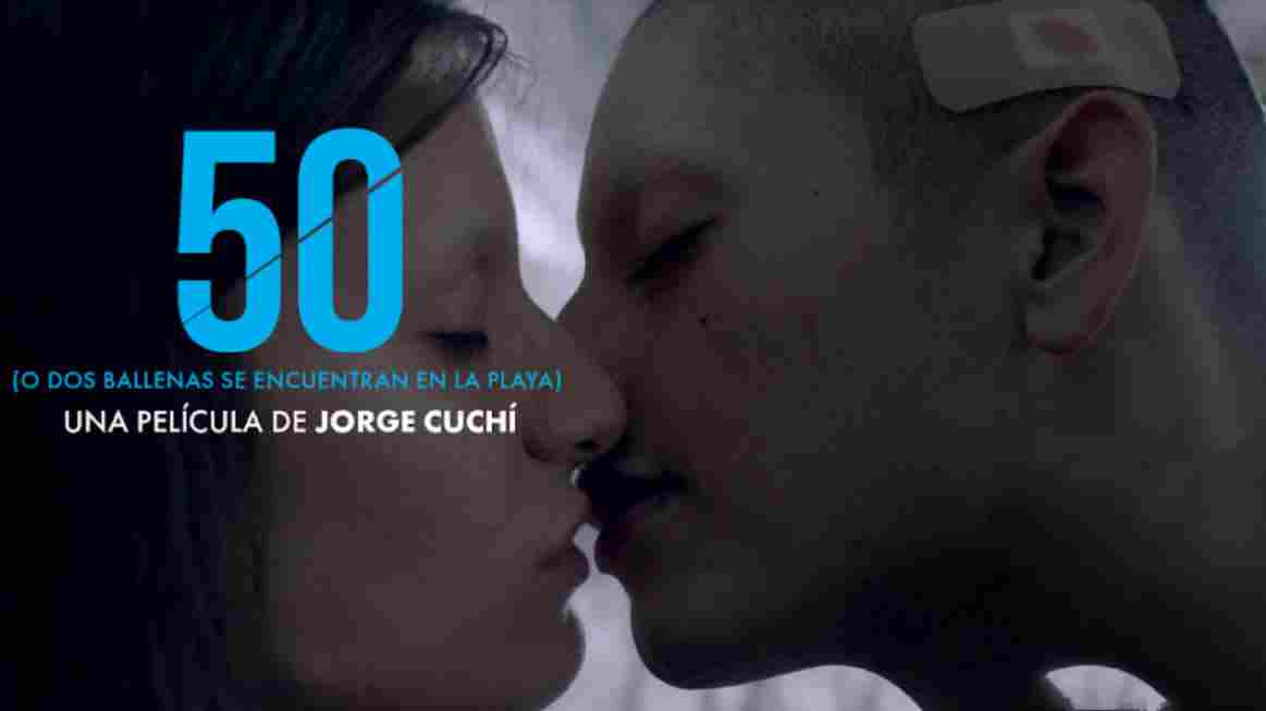 50或两只鲸鱼在沙滩上相遇