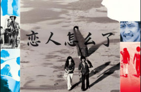 恋人怎么了 Lost Lovers 1971