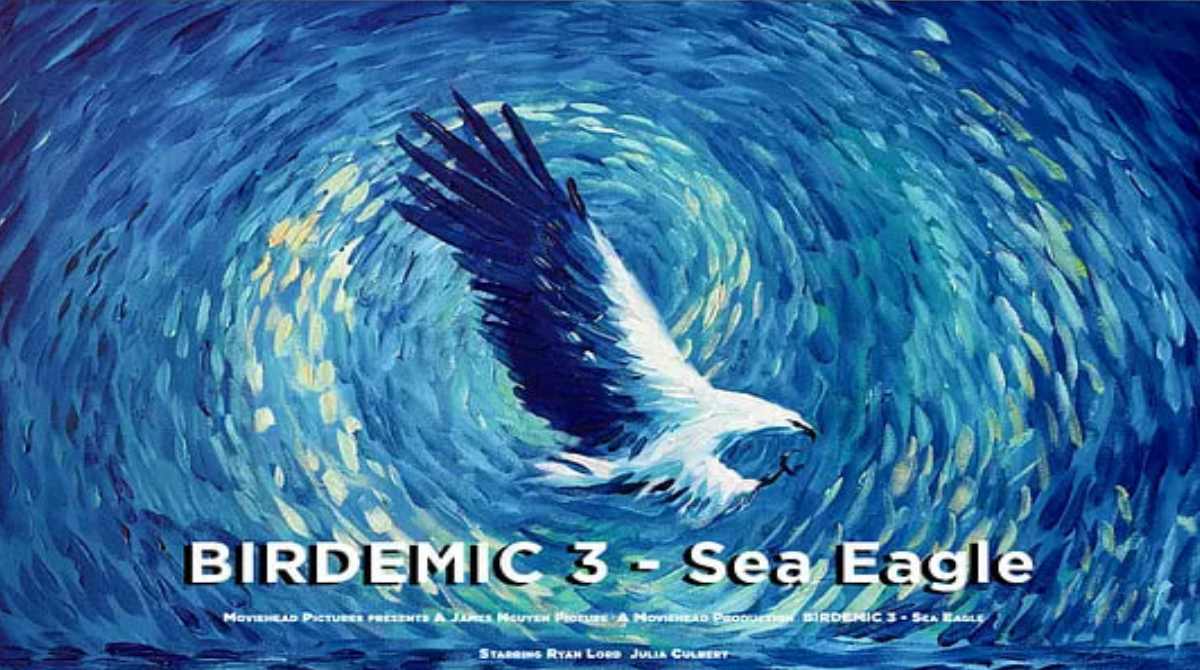 群鸟3：海雕来袭