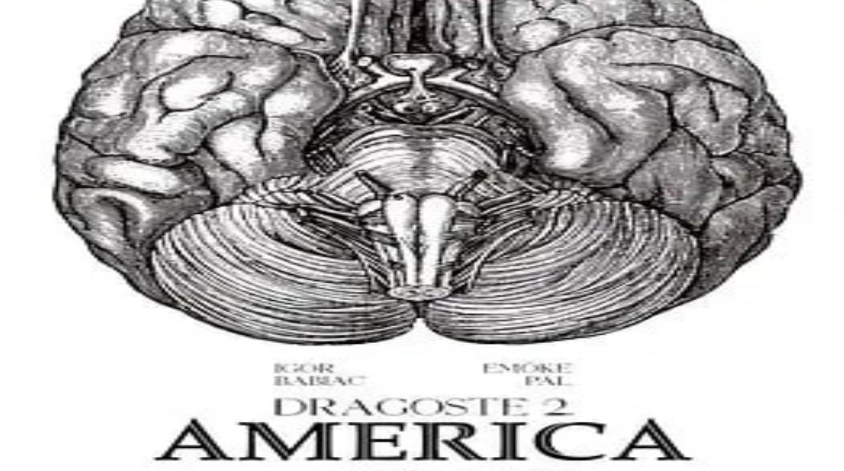 爱情第二部：美国