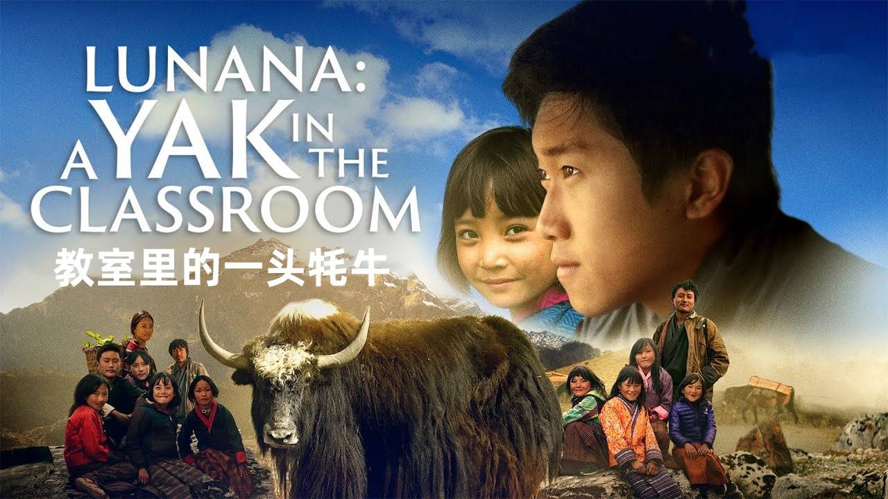 教室里的一头牦牛
