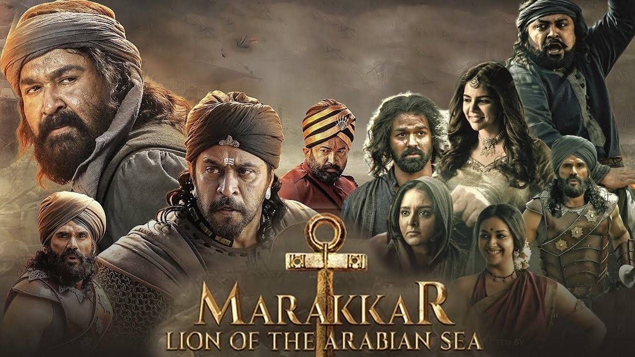 马拉喀尔：阿拉伯海狮