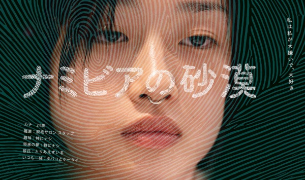 纳米比亚的沙漠