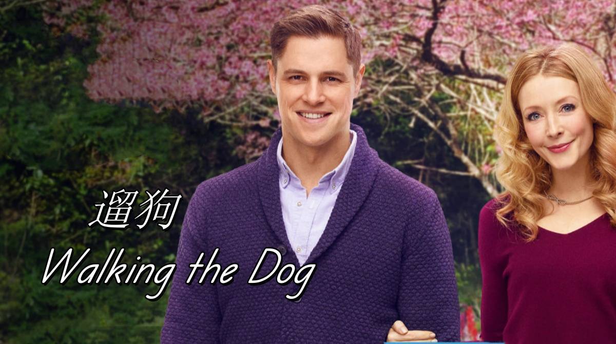 遛狗