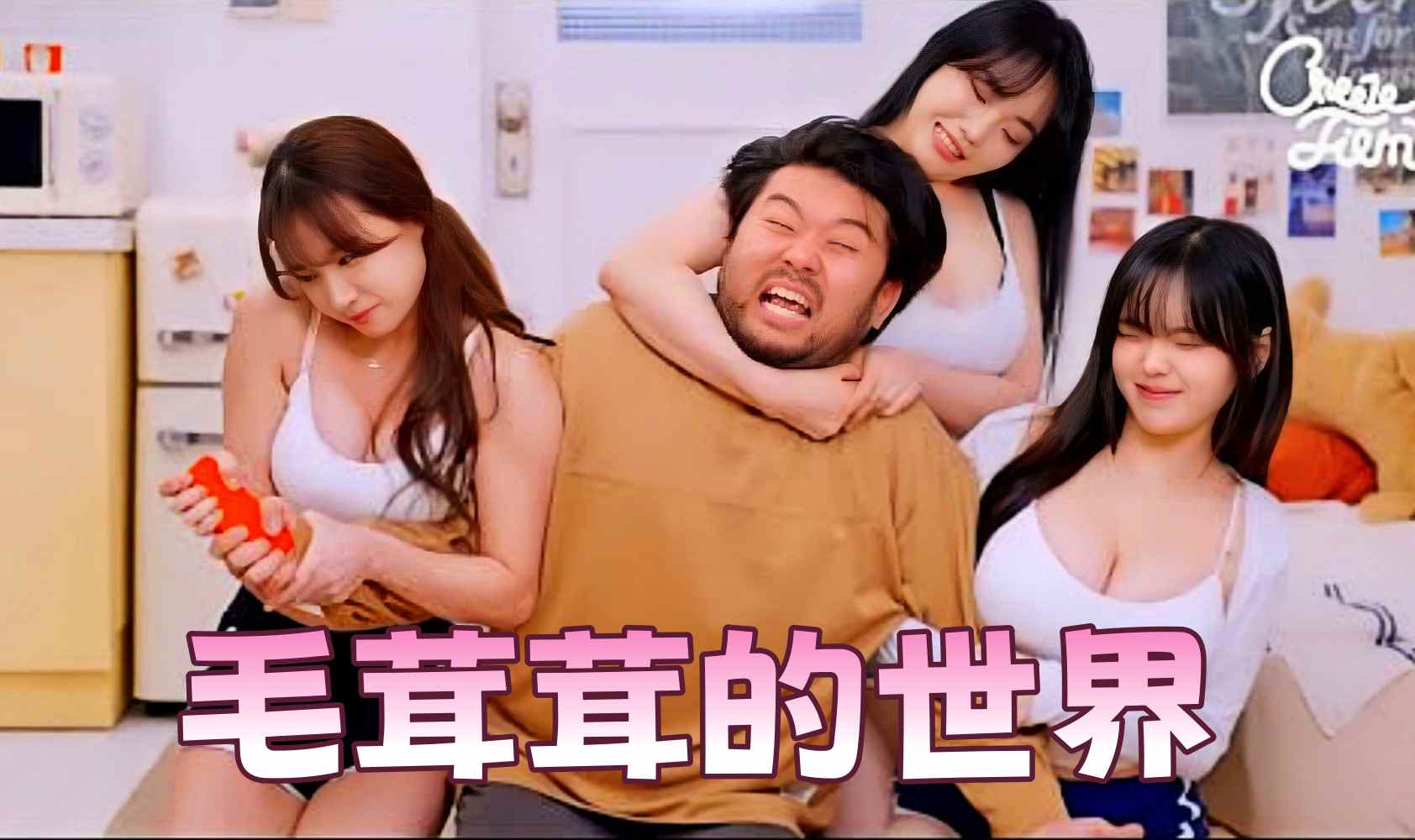 毛茸茸的世界 第一季