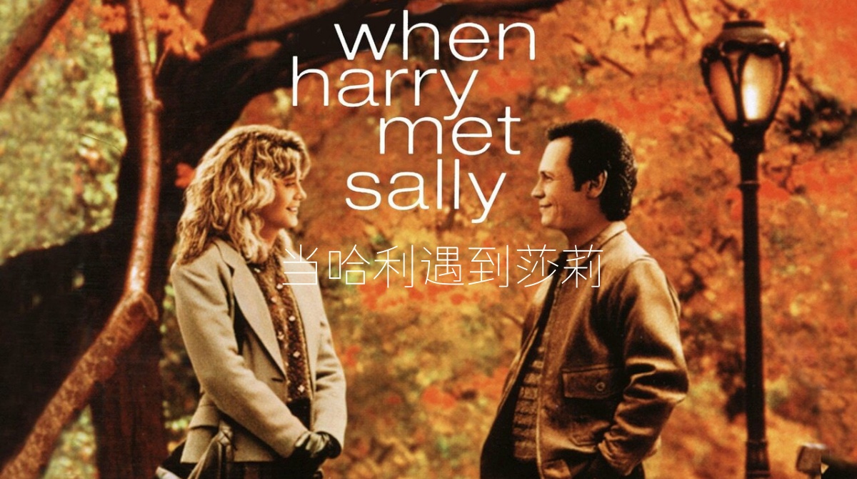 当哈利遇到莎莉
