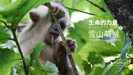 《我和自然 心有灵犀》第五季 - 山海有灵