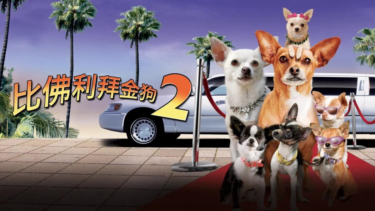 比佛利拜金狗2