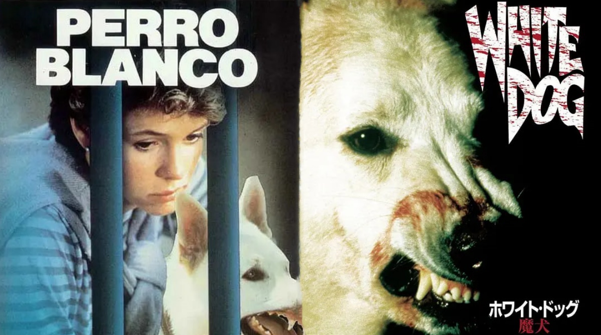 白狗