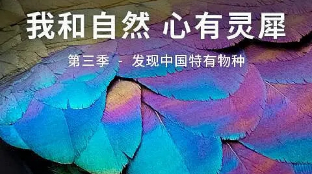 《我和自然 心有灵犀》第三季 - 发现中国特有物种