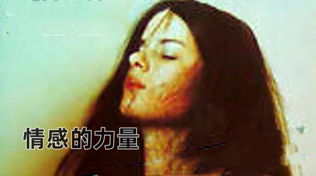 情感的力量