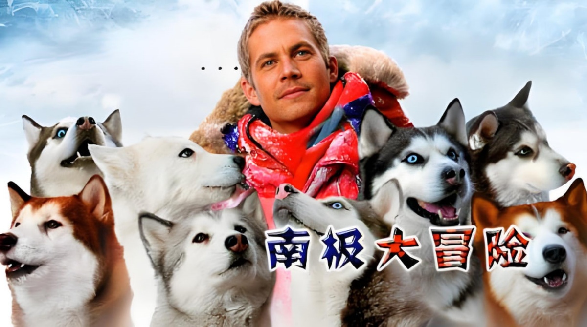 南极大冒险