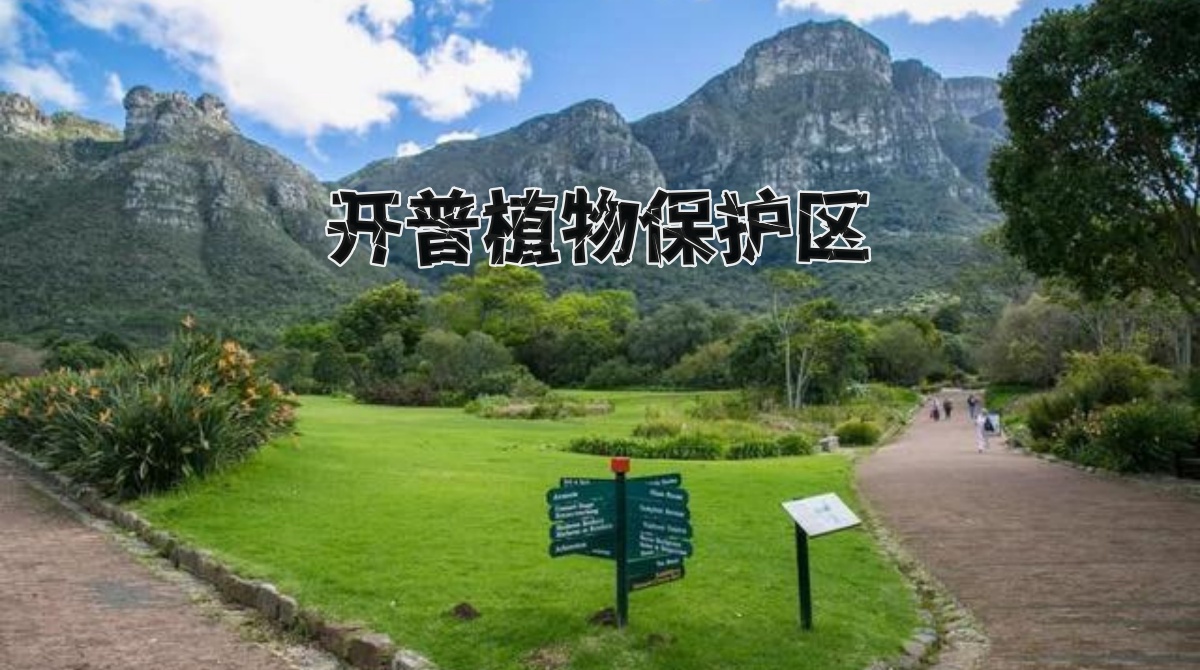 开普植物保护区