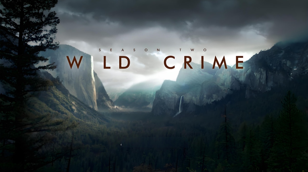 狂野罪行 第二季