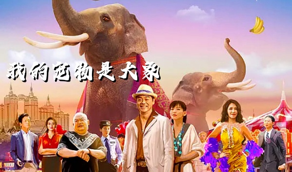 我的宠物是大象