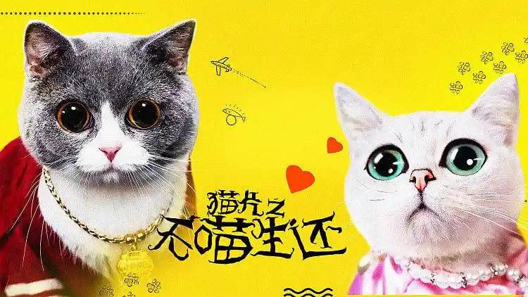 猫片之无喵生还