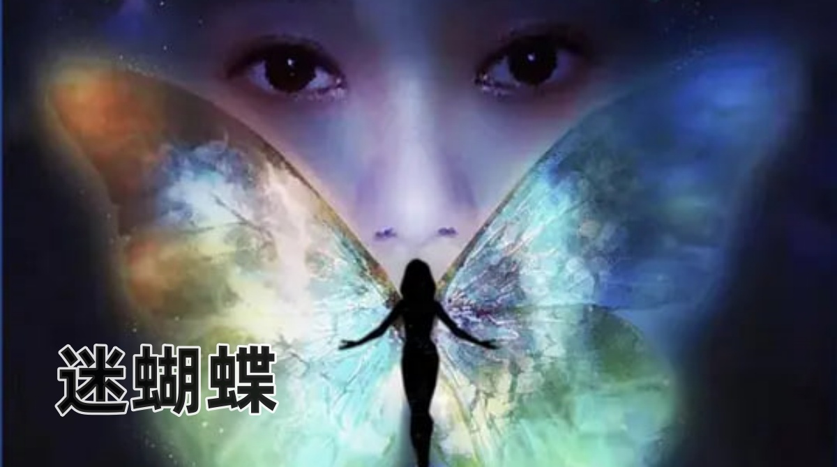 迷蝴蝶