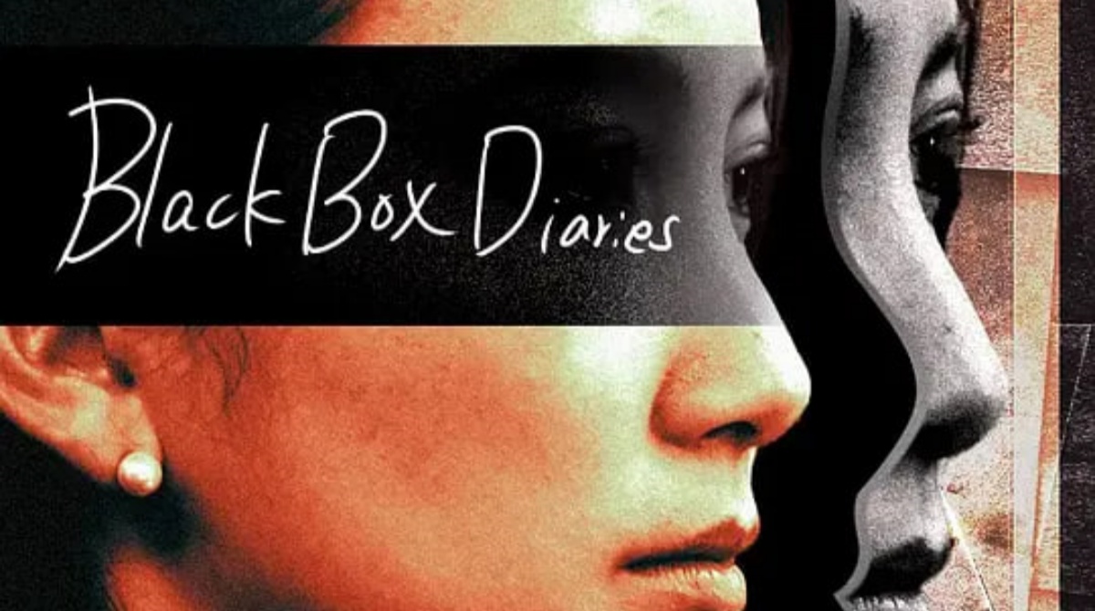 黑箱日记