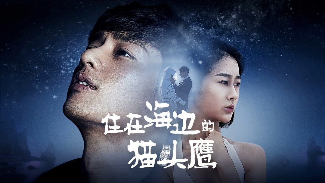 住在海边的猫头鹰