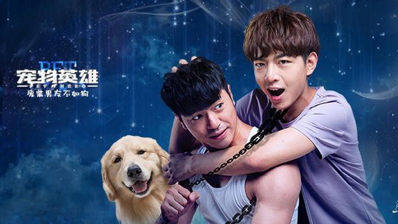宠物英雄