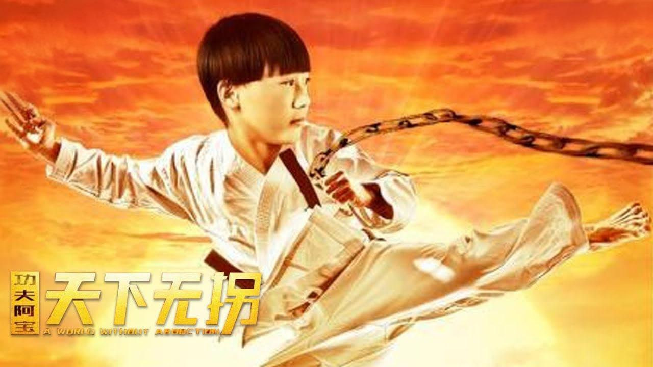功夫阿宝：天下无拐