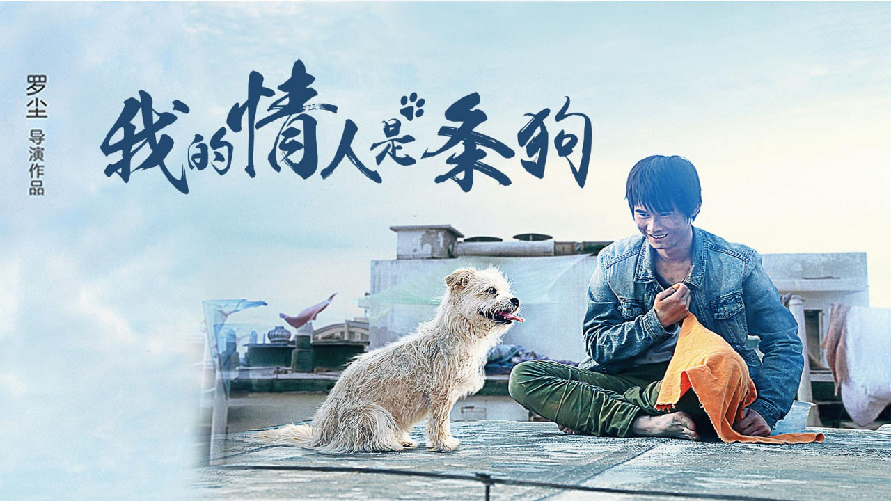 我的情人是条狗