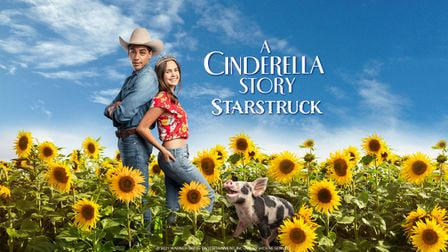 灰姑娘的故事：明星之恋