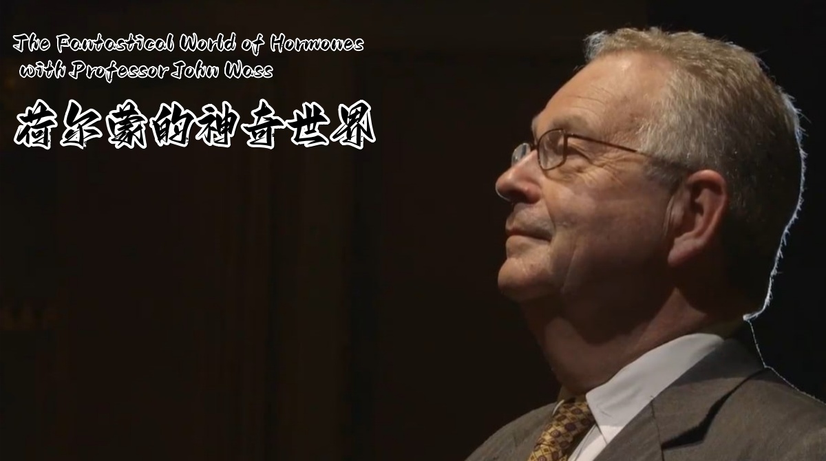 荷尔蒙的神奇世界