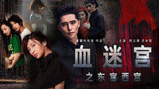 血迷宫之东宫西宫