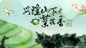 兴隆山下菜花香