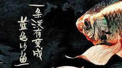 一条没有变成蓝色的鱼