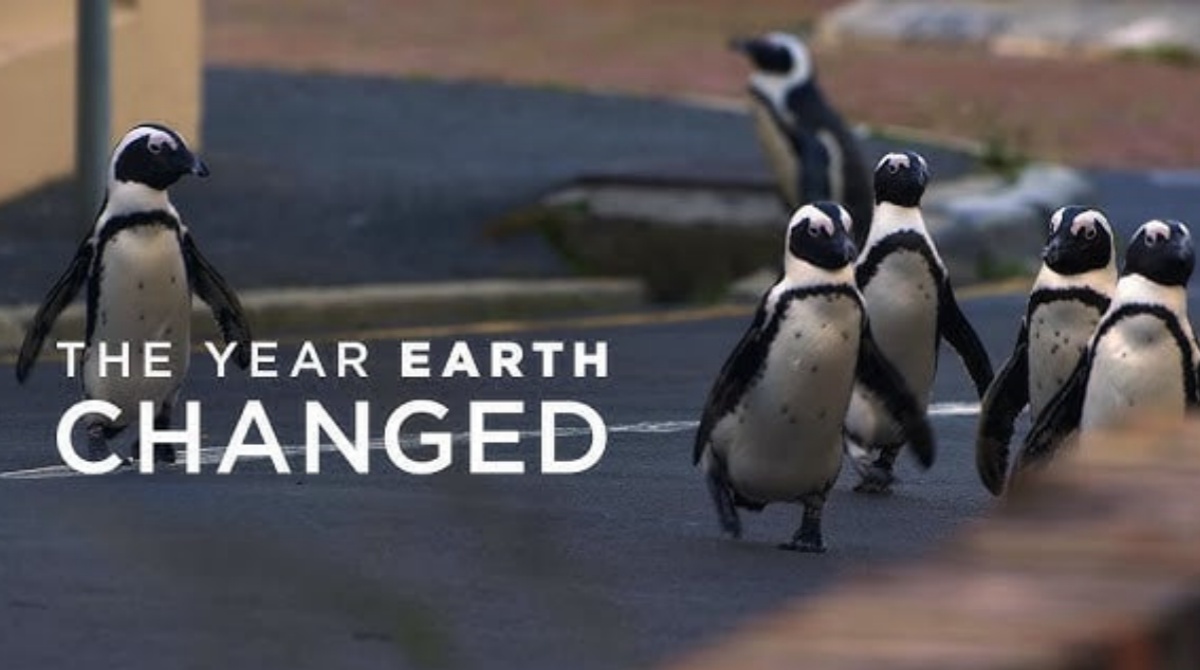 地球改变之年