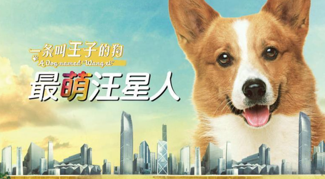 一条叫王子的狗