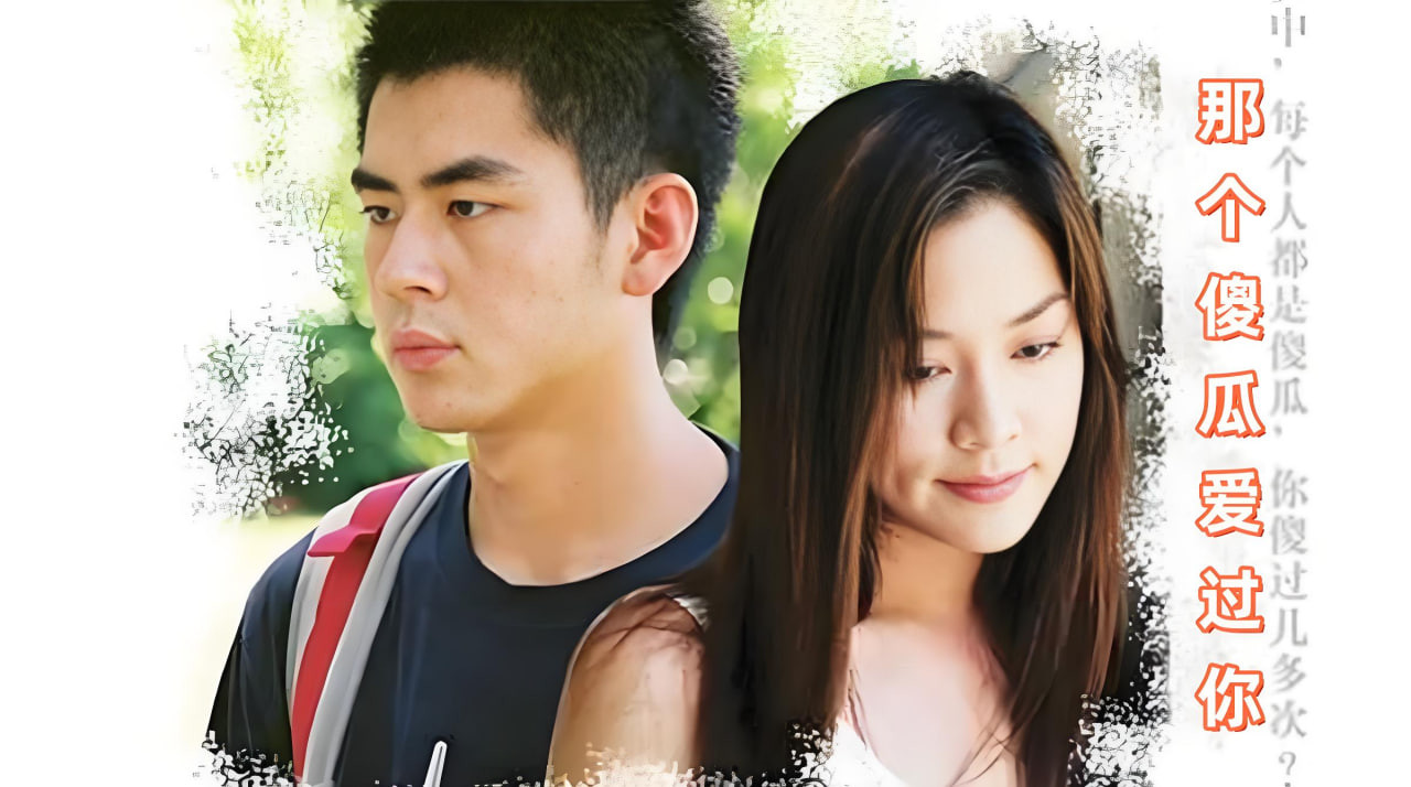 那个傻瓜爱过你