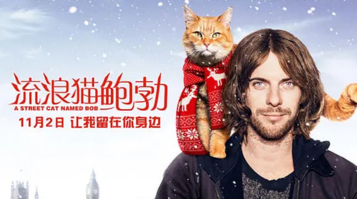 流浪猫鲍勃
