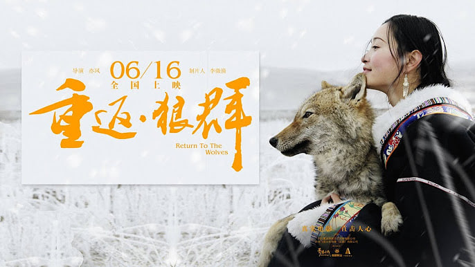 重返·狼群
