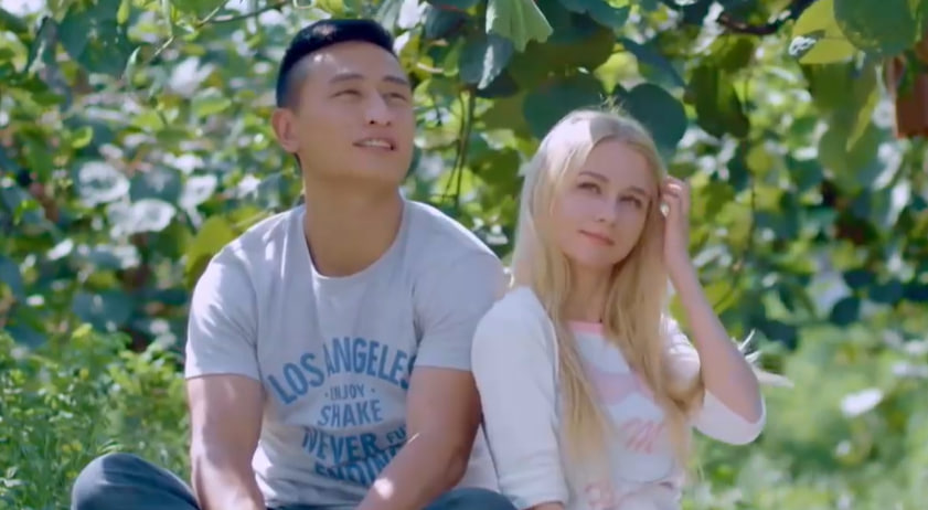 太白山下猕猴桃