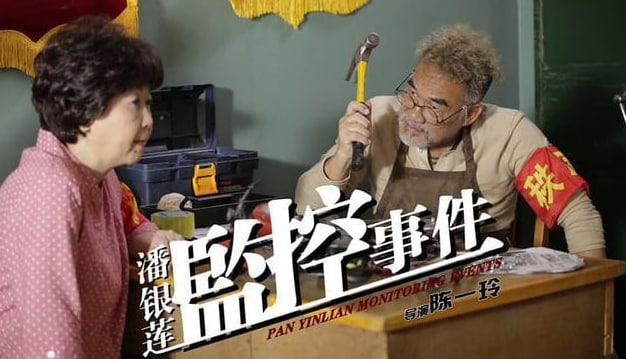 潘银莲监控事件